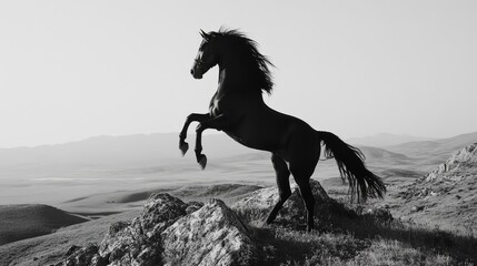 Fototapeta premium Majestic black horse rearing on rocky hillside in serene landscape
