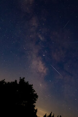 Fototapeta premium Milky Way stars with meteor shower trails and countryside tree silhouettes.