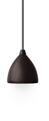 Naklejka premium Hanging Bulb