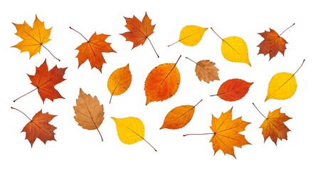 Fototapeta premium Autumn's Gentle Descent AI Generated