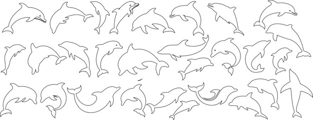 Dolphin line art collection