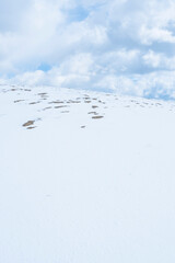 冬の鳥取砂丘の雪景色 鳥取県 鳥取砂丘