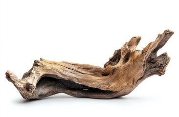 Fototapeta premium Piece of driftwood