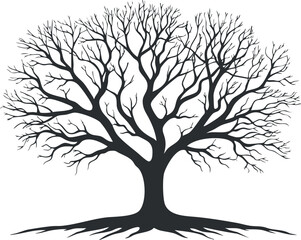 Obraz premium Black and white silhouette of a tree with intricate branches and roots, symbolizing nature.