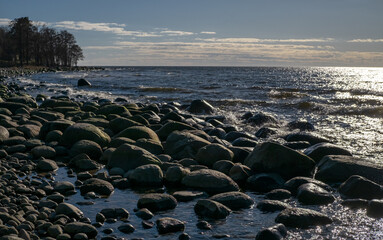 Rocky sea coast shore with blue sky and trees in the distance