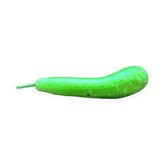 Natural gourd photo taken on camera with clipping path for use in organic food projects