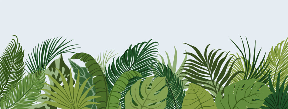 Tropical jungle leaf plants border. Banner background with exotic green leaves. Rainforest foliage, nature, lush greenery, vegetation, floral botanical leafy decoration. Flat vector illustration
