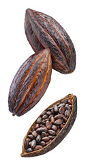 Cocoa isolated on white background