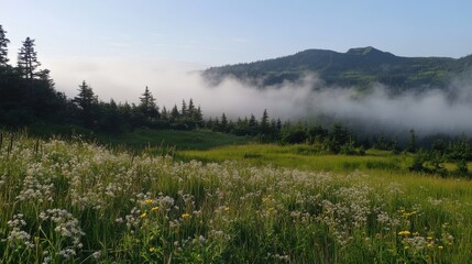 A foggy sunrise covered the hills in mist