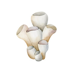 Sea sponge. Cute undersea marine fauna. Underwater ocean life. Watercolor hand painted illustration isolated on white