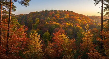 Fototapeta premium Autumn Blaze Golden Hour Canopy AI Generated