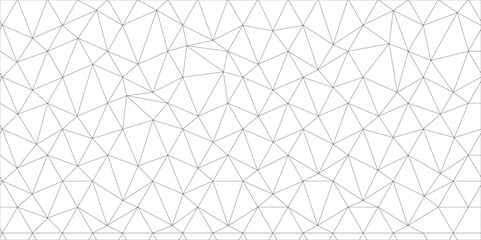 Fototapeta premium Abstract line background. abstract black lines with white background creative and geometric shape with white luxury pattern and paper texture and geometric shape with white luxury style. 