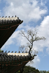 Changdeokgung Palace and Secret Garden (Huwon), UNESCO Heritage Site, Seoul, Korea, Geunjeongjeon Hall in Gyeongbokgung Palace,  South Korea, 한국 서울 경복궁 근정전 정면 사진 서울 창덕궁 인정전과 후원 (비원) 유네스코 세계문화유산