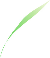 Vibrant Apple Green Icon – Modern and Versatile Symbol for Digital and Print Design