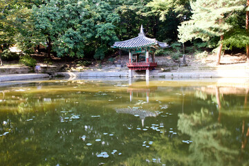 Obraz premium Changdeokgung Palace and Secret Garden (Huwon), UNESCO Heritage Site, Seoul, Korea, Geunjeongjeon Hall in Gyeongbokgung Palace, South Korea, 한국 서울 경복궁 근정전 정면 사진 서울 창덕궁 인정전과 후원 (비원) 유네스코 세계문화유산