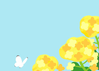 かわいい菜の花の背景素材