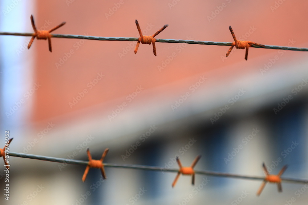 Poster Close-up shot of barbed wire fence with a building visible in the background, suitable for use as a texture or background image.
