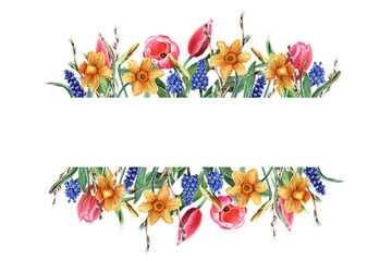 Horizontal banner, border, template, frame with yellow daffodils, narcissi, pink tulips and blue grape hyacinth, muscari, pussy willow branches. Watercolor illustration isolated on white