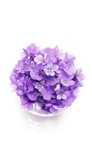 Obraz premium purple violets 
