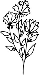 Flower botanical hand drawing simple element