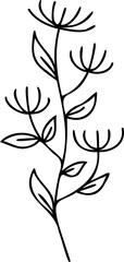 Flower botanical hand drawing simple element