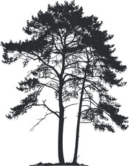 Obraz premium Silhouette of two pine trees against a white background, showcasing natural beauty and simplicity.