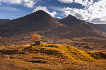 Golden heather blankets the Scottish Highlands, where misty peaks rise above deep glens and serene lochs. Autumn&rsquo;s glow paints a landscape of wild, untamed beauty.