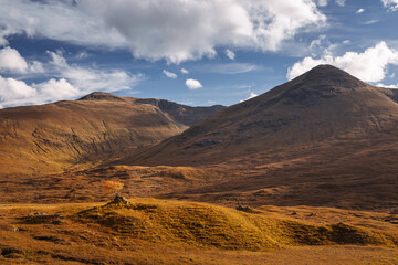 Naklejka premium Golden heather blankets the Scottish Highlands, where misty peaks rise above deep glens and serene lochs. Autumn’s glow paints a landscape of wild, untamed beauty.