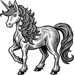 vector unicorn illustration