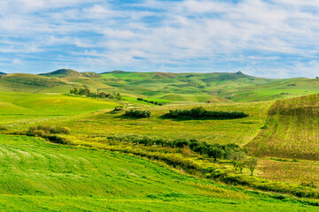 young spring field on hills of green rustic farmland with grass plants and garden. Countryside green spring or summer season landscape of farm with beautiful blue cloudy sky on background