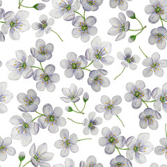 Seamless pattern cherry blossom. Watercolor illustration. White background. For design, backgrounds