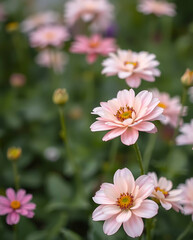 Fototapeta premium beautiful natural floral background, different kind of floral, created by generative ai