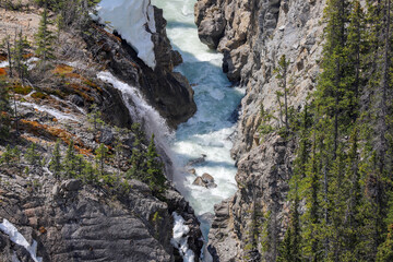 Narrow glacier-carved canyon with powerful river rushing between steep rocky walls in Banff National Park, Canada