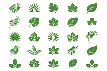 Set of tropical leaves and palm fronds vector illustration