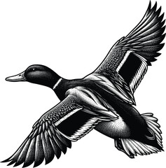 Mallard duck vector black silhouette print design