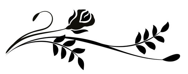 Ornament with rose flower. Text divider. Decorative element for decor and text greeting or invitation card design.