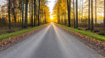 Fototapeta premium serene road lined with trees, illuminated by sunset