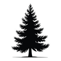 Fototapeta premium Pine Tree Sketch Silhouette, Vector, Icon, Logo, White Background.