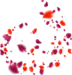 Purple red roses scattered in a spiral will fall on abstract floral background with gorgeous rose petal greeting card design.