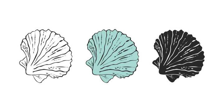 Sea shell Pectinidae scallop, sketch hand drawn. Silhouette, contour. Set bivalve shells of sea creature, mollusk seashell. Icon set.