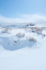 冬の鳥取砂丘の雪景色 鳥取県 鳥取砂丘