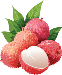 Lychee isolated on a transparent or white background, vector illustration