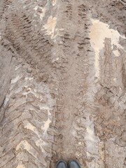 Tire Tracks on Wet Ground Surrounded by Muddy Terrain  