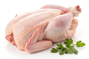 Raw Chicken Whole Bird Fresh Poultry Meat with Pink Flesh on White Background
