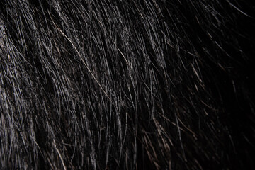 black wool texture, background texture for presentations