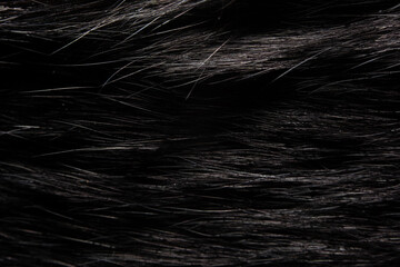 black wool texture, background texture for presentations