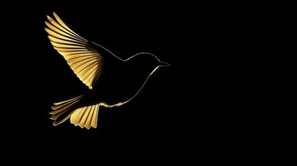Obraz premium Dramatic Golden Bird Silhouette Flying Against Deep Black Background