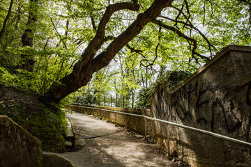 A beautiful path in the old Ljubljana city with trees and sunlight