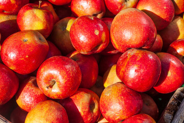 Frische rote Äpfel auf einem Marktstand, Deutschland