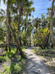Myakka River State Park